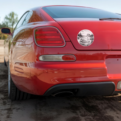 Schwan in der Wildnis Aufkleber Bunt - Ansicht 4