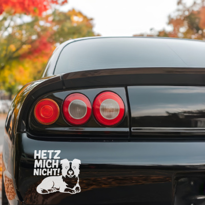 Border Collie Hetz mich nicht! Aufkleber - Ansicht 3