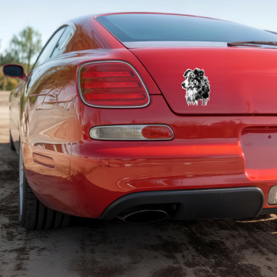 Australian Shepherd Aquarell Aufkleber Bunt - Ansicht 4