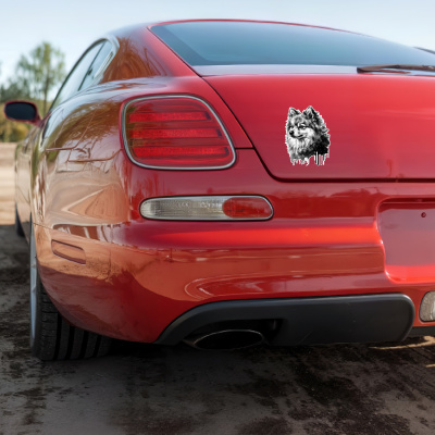 Zwergspitz Aquarell Aufkleber Bunt - Ansicht 4