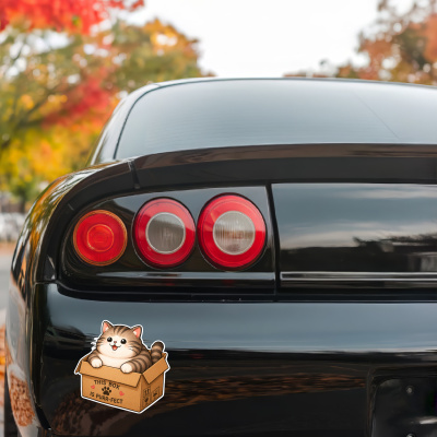 Aufkleber Katze mit Karton - Ansicht 3
