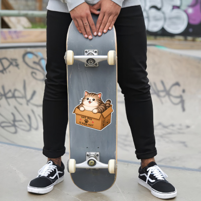 Aufkleber Katze mit Karton - Ansicht 6