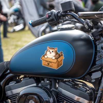 Aufkleber Katze mit Karton - Ansicht 7
